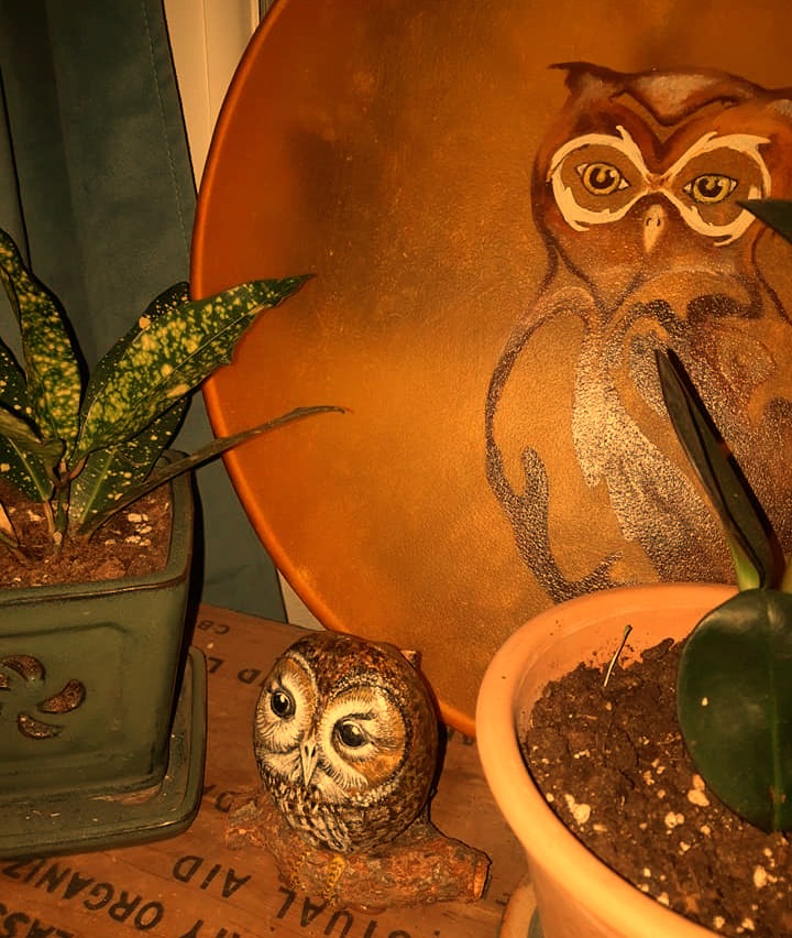 photo portrait Laurence Déon