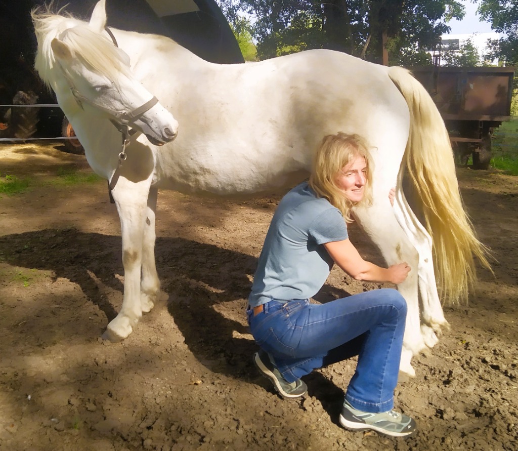 photo activite Patricia VEZZARO