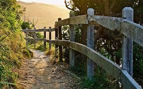 photo activite Magali Clément Sophrologue