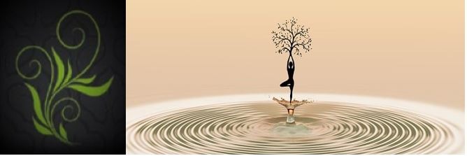 photo seance Vanessa Chardron