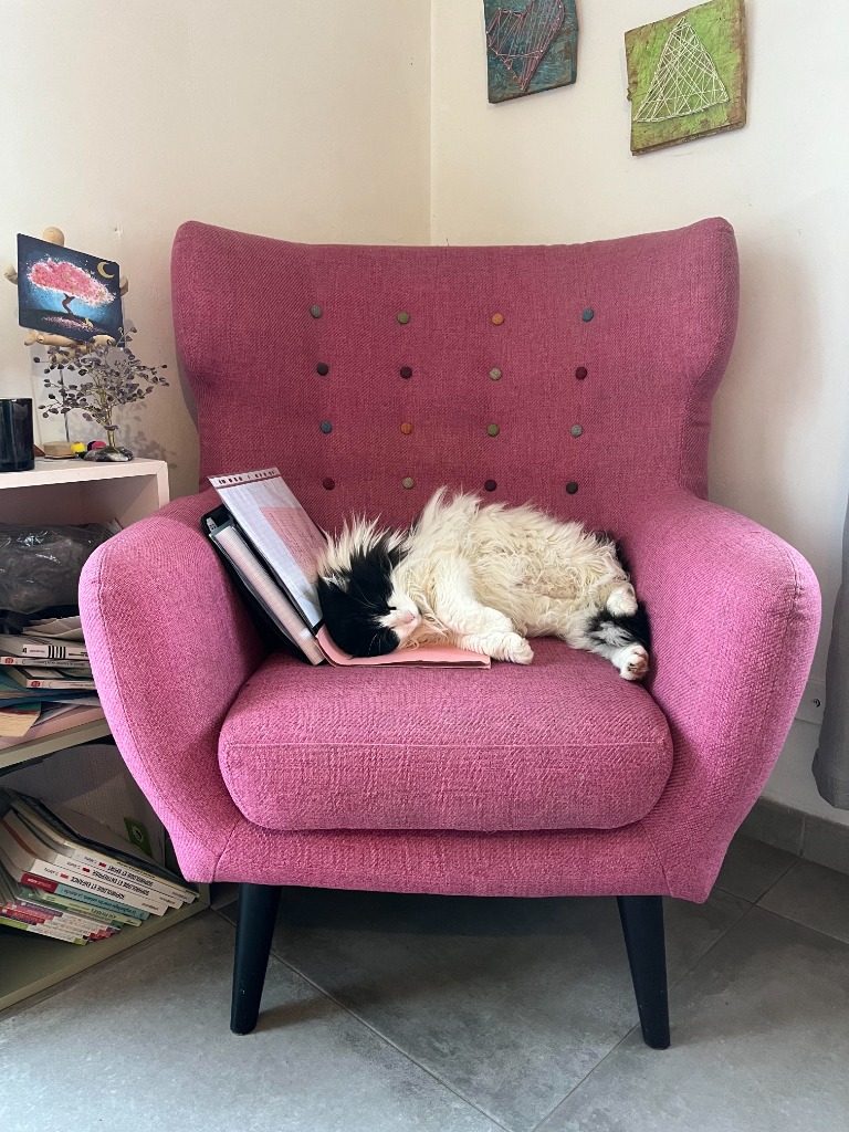 photo activite Céline DESMIER