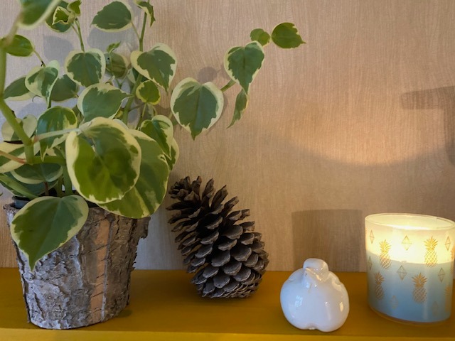 photo seance Gaëlle DORADO