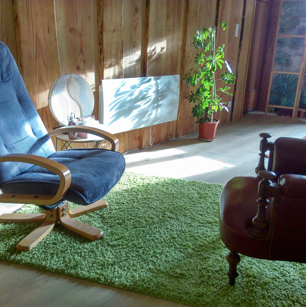 photo cabinet Camille Rizard