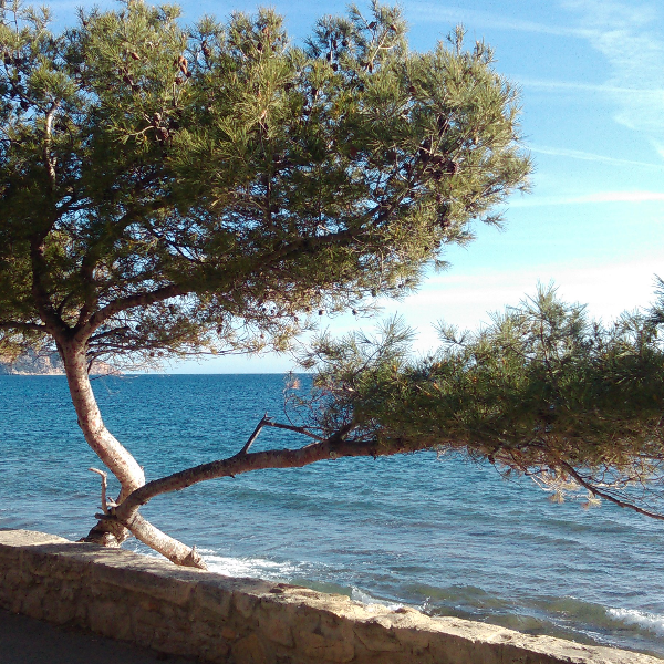 Pause Sophro Provence