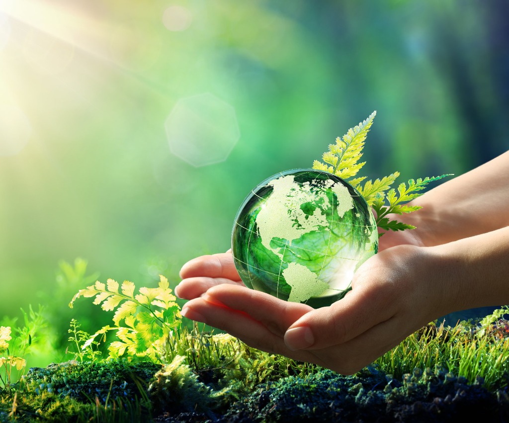 photo activite Martine Souche