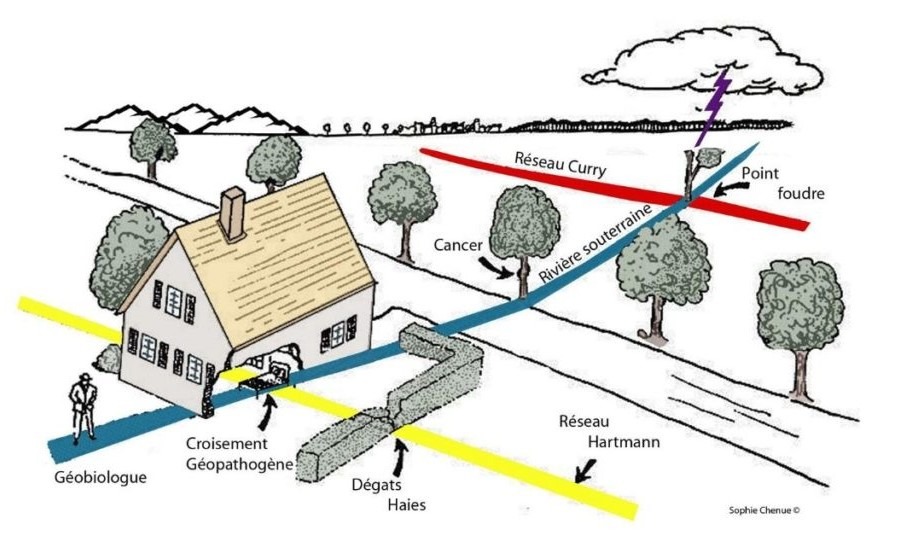 photo portrait Martine Souche