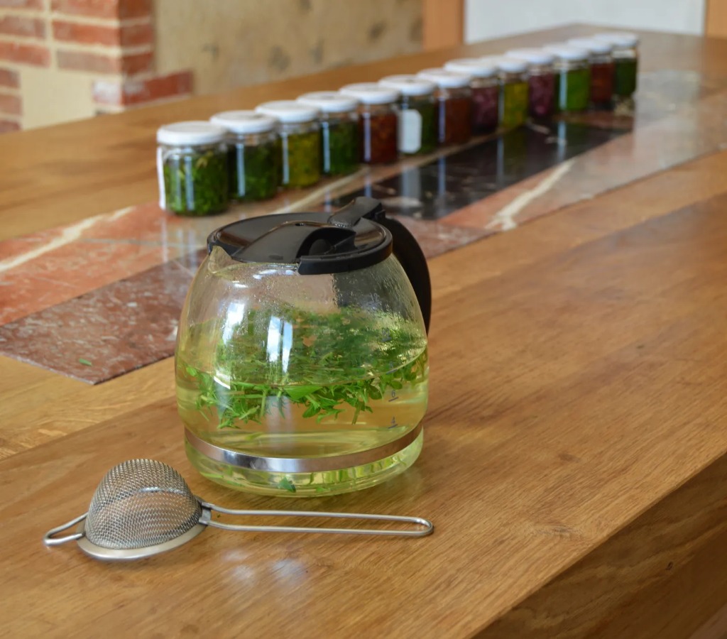 photo activite Morin--Barthe Mylène