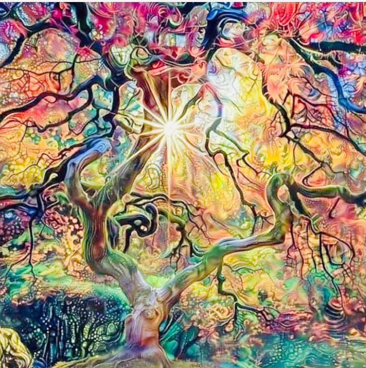 photo portrait sabrina laufer