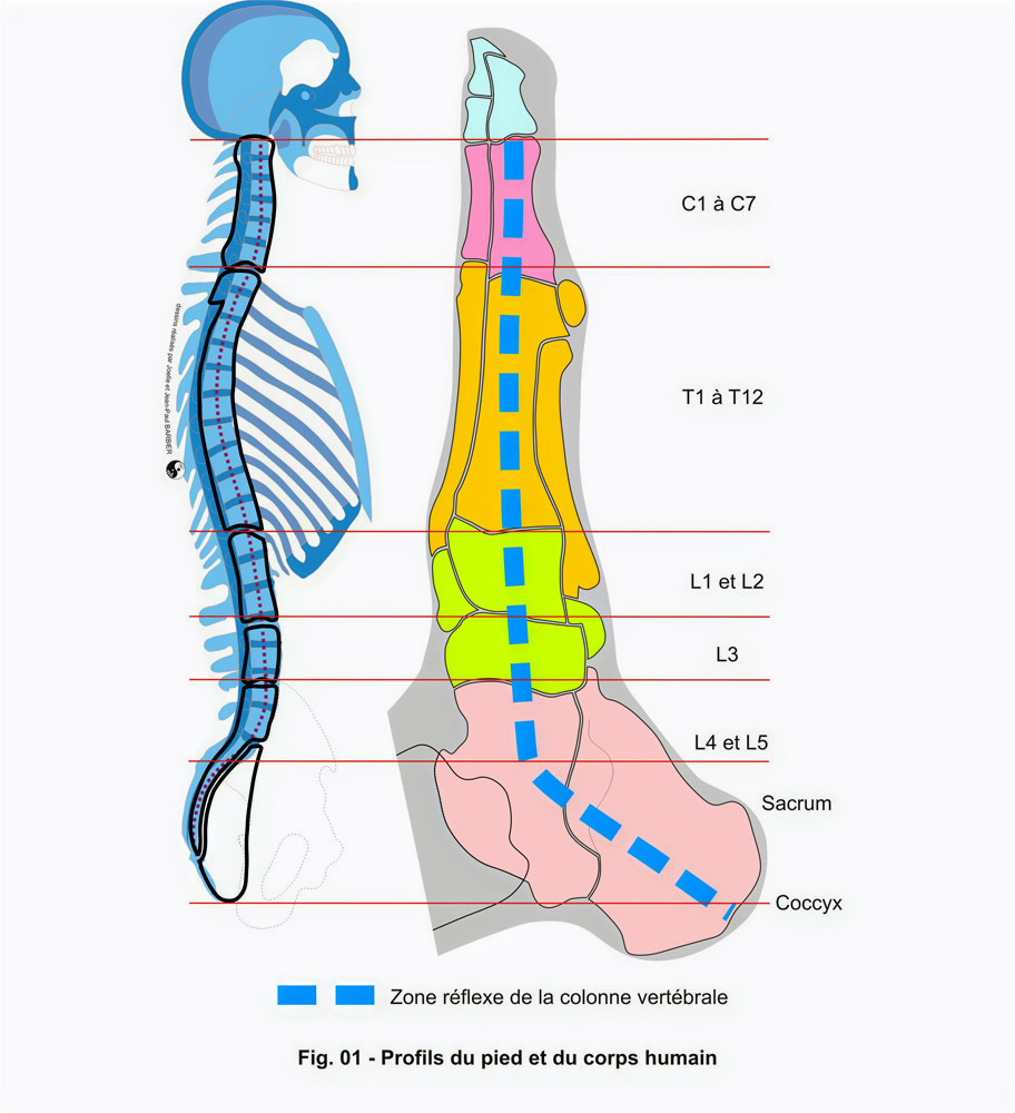 photo diplome Aurélie MANCEAU