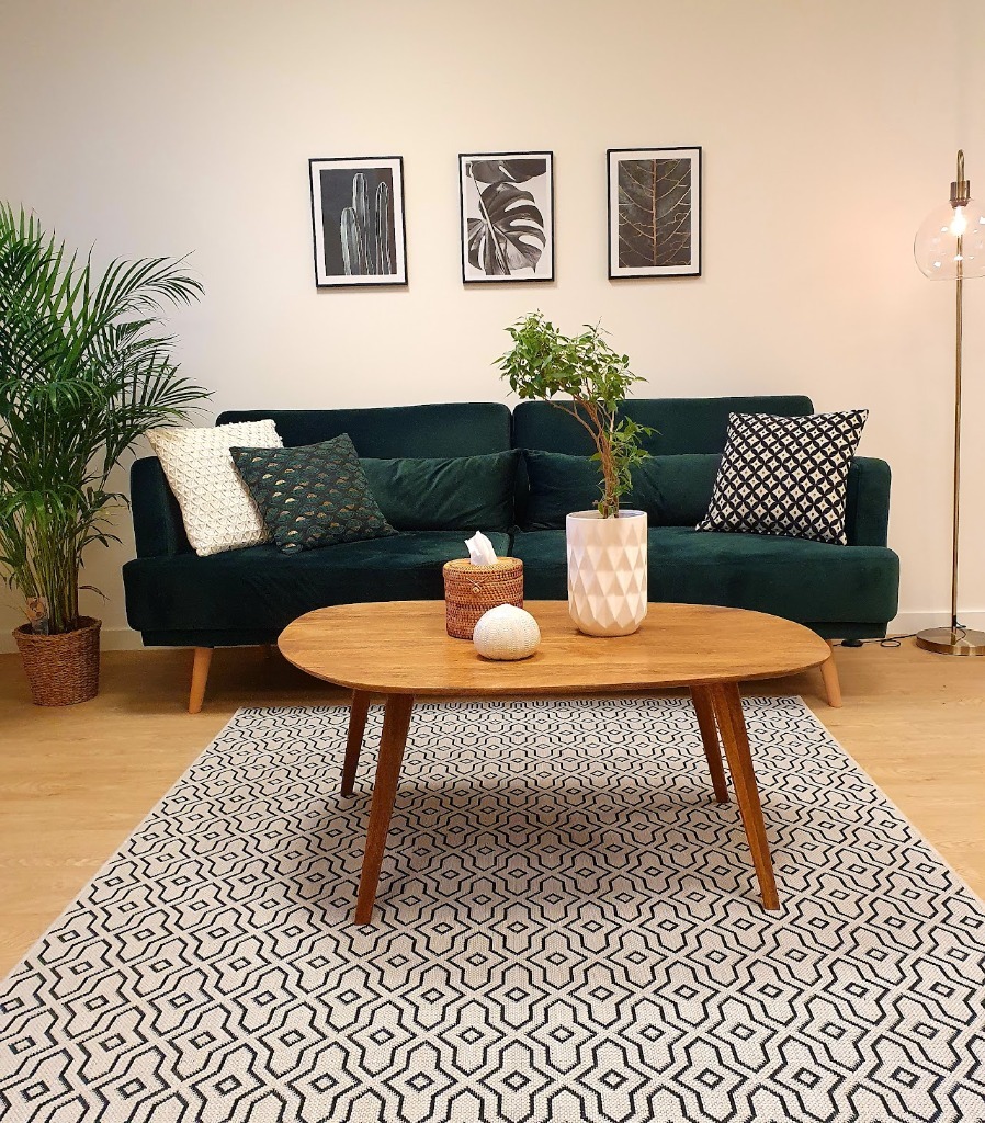 photo cabinet EVEIL PAPILLON - Denis DIDIER