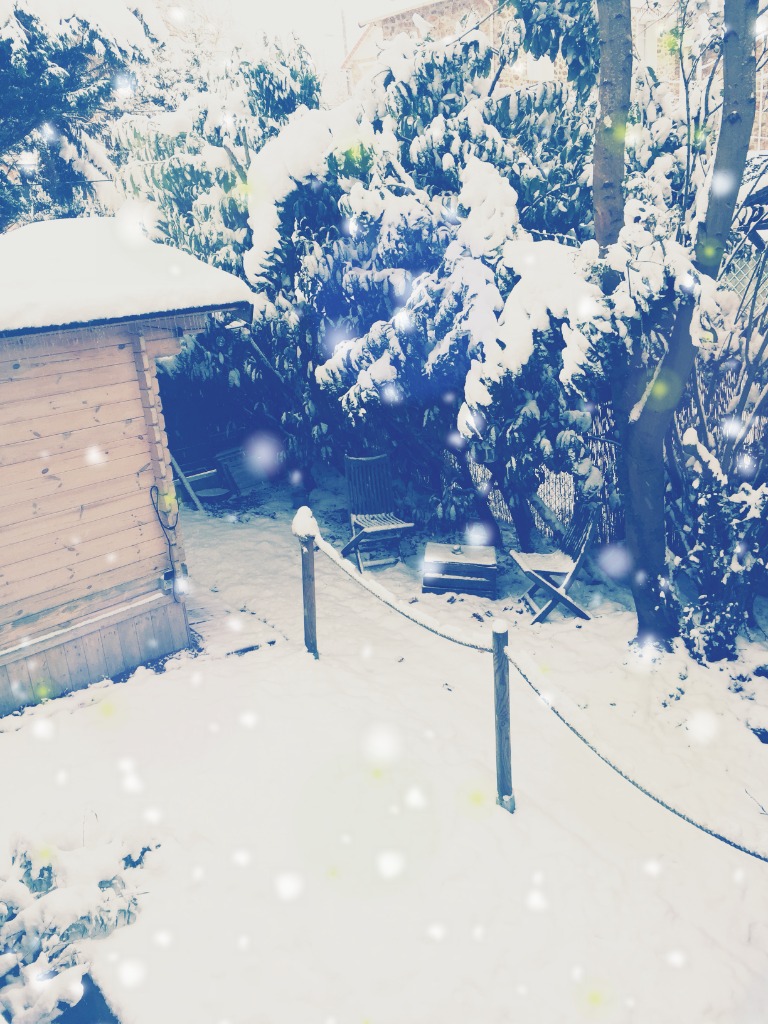 photo cabinet Sophie KABANSKY