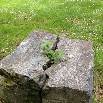 photo cabinet Thérapie 2C - Amanda Condamin - 