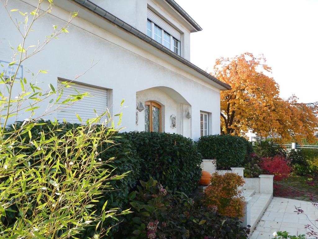 photo cabinet ROCHE KARINE