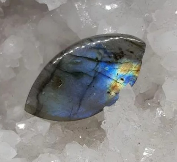 photo activite Cachart Julie