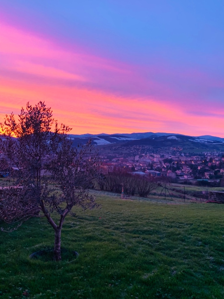 photo cabinet Delphine ANDRE YEGUIAYAN