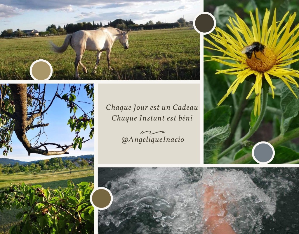 photo activite Inacio