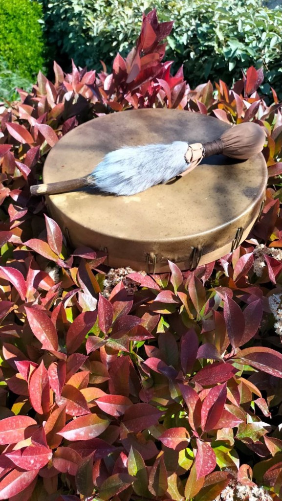 photo activite Harmonisation-soi-energetique - Soins vibratoires