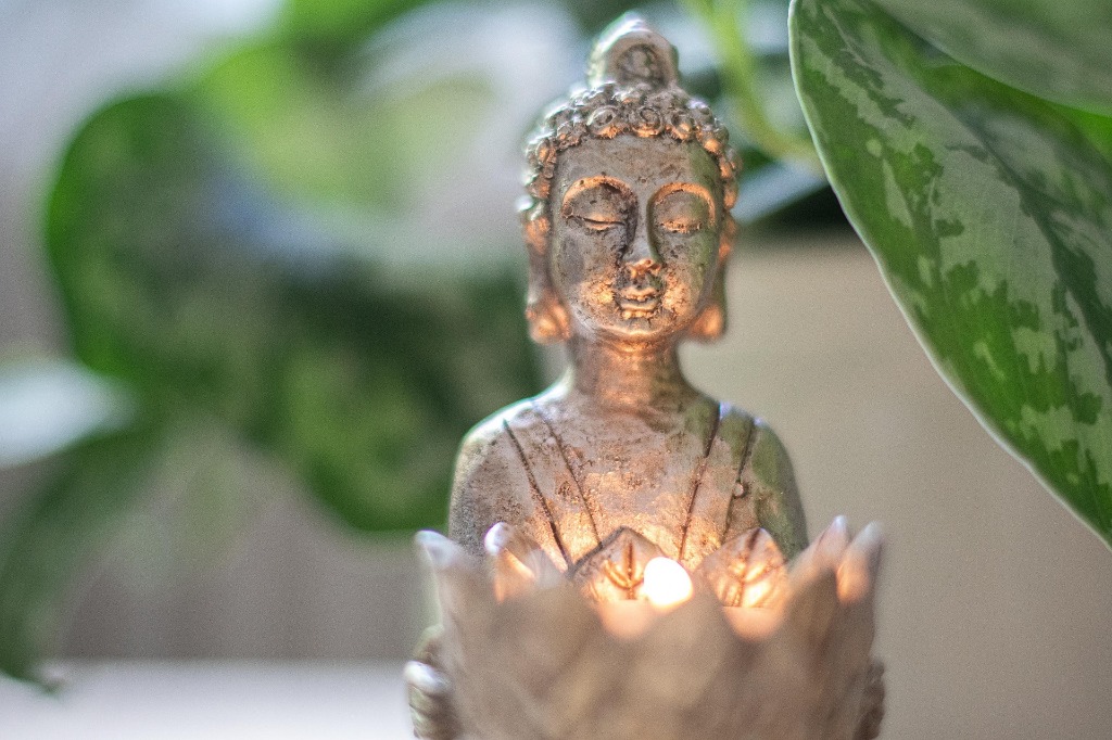 photo seance CHANTAL Dagnino-Ponçot