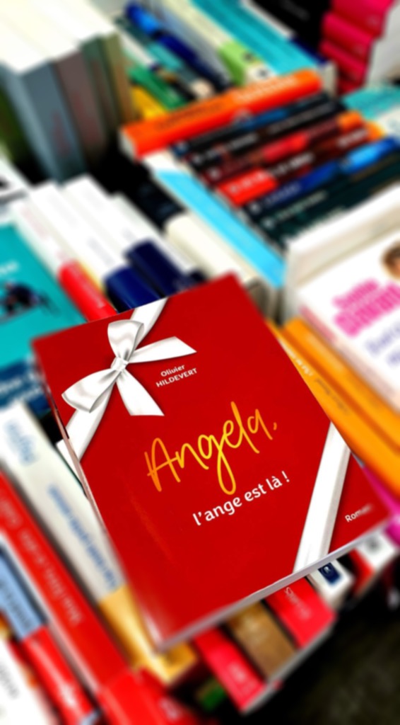 photo activite Olivier HILDEVERT