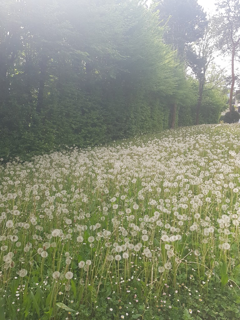 photo diplome Celine PENNETIER 