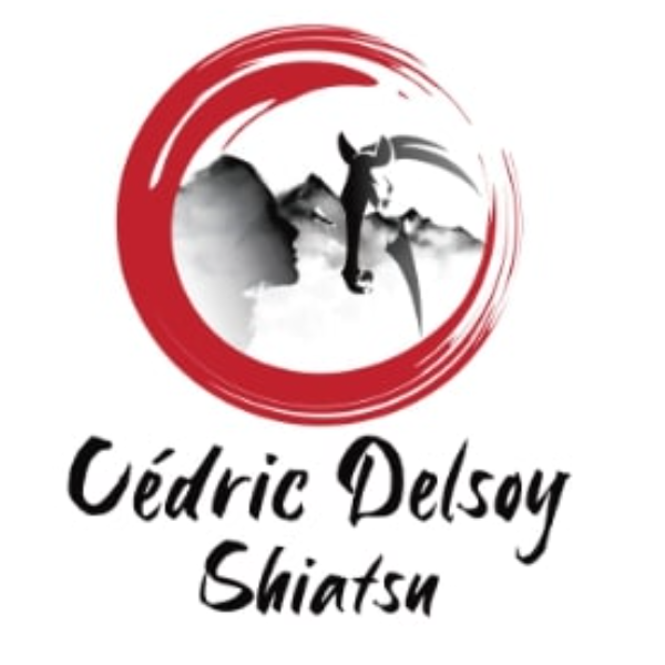 Cédric Delsoy Shiatsu Lyon