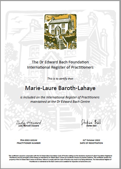 photo diplome Association Maestro de votre Bien-Être