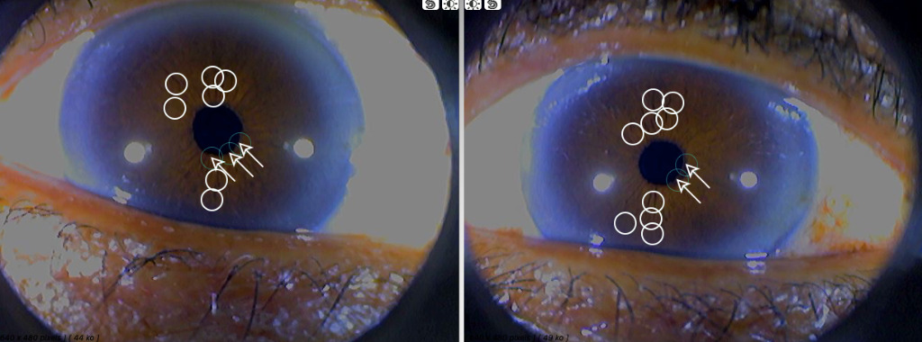 photo portrait Sophie LÉDERLÉ