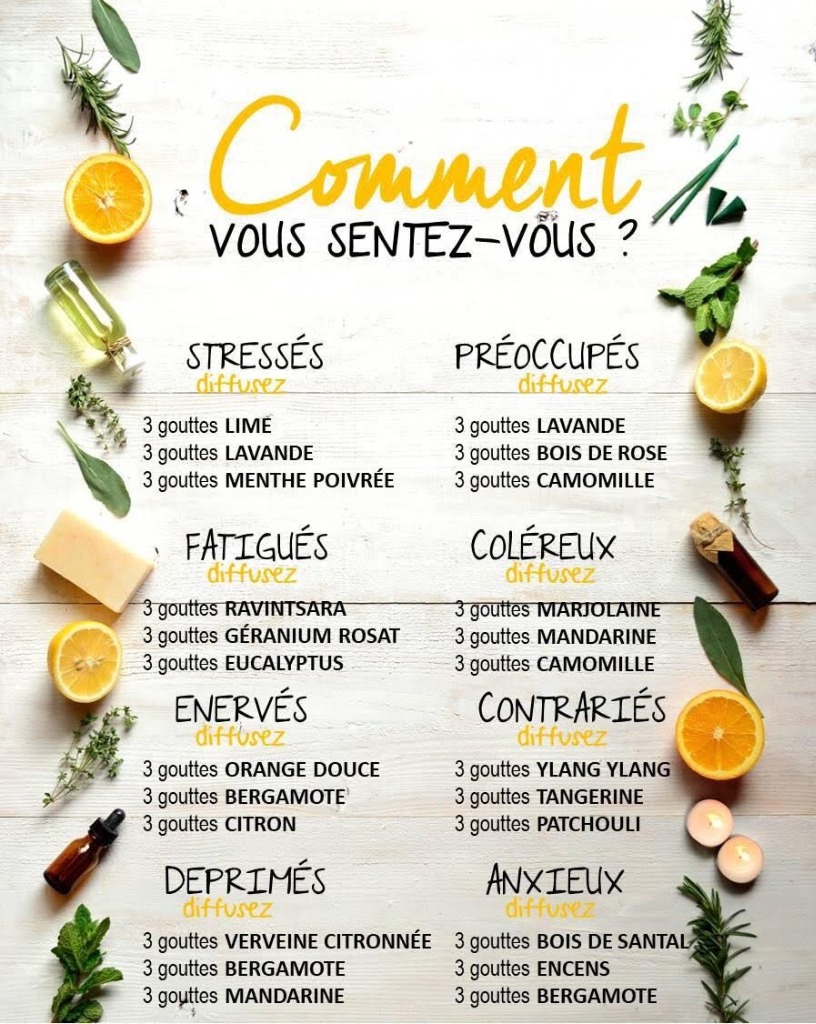 photo activite Aurore Villebrun