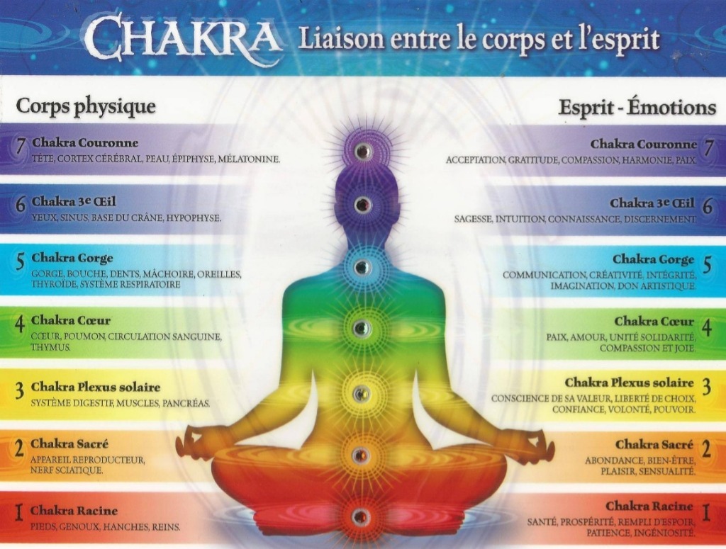 photo activite Sandrine GOUJARD