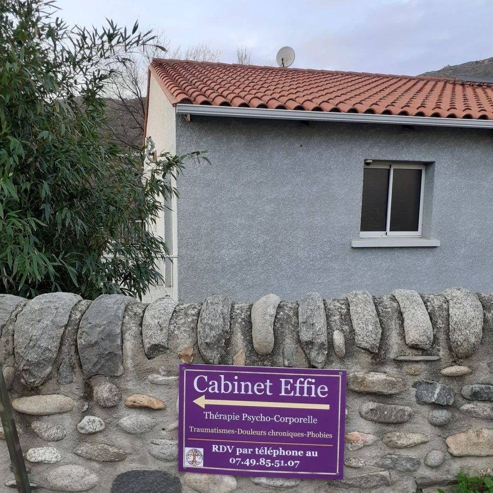 photo activite Cabinet Effie-Virginie Barra