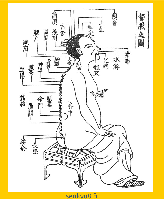 photo activite Sugizaki Yoshika