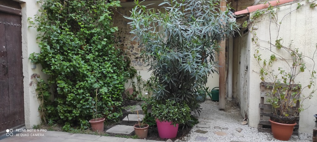 photo cabinet Sugizaki Yoshica