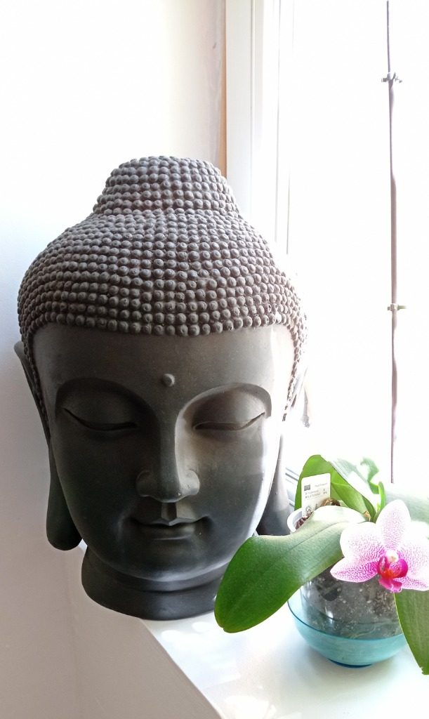 photo cabinet Sabrié 