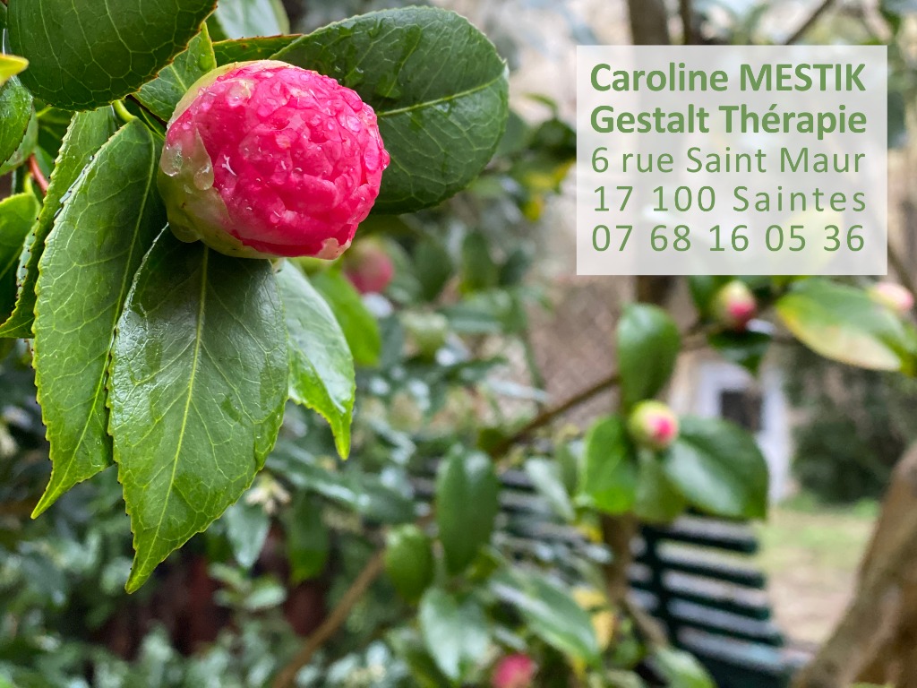 photo seance CAROLINE MESTIK