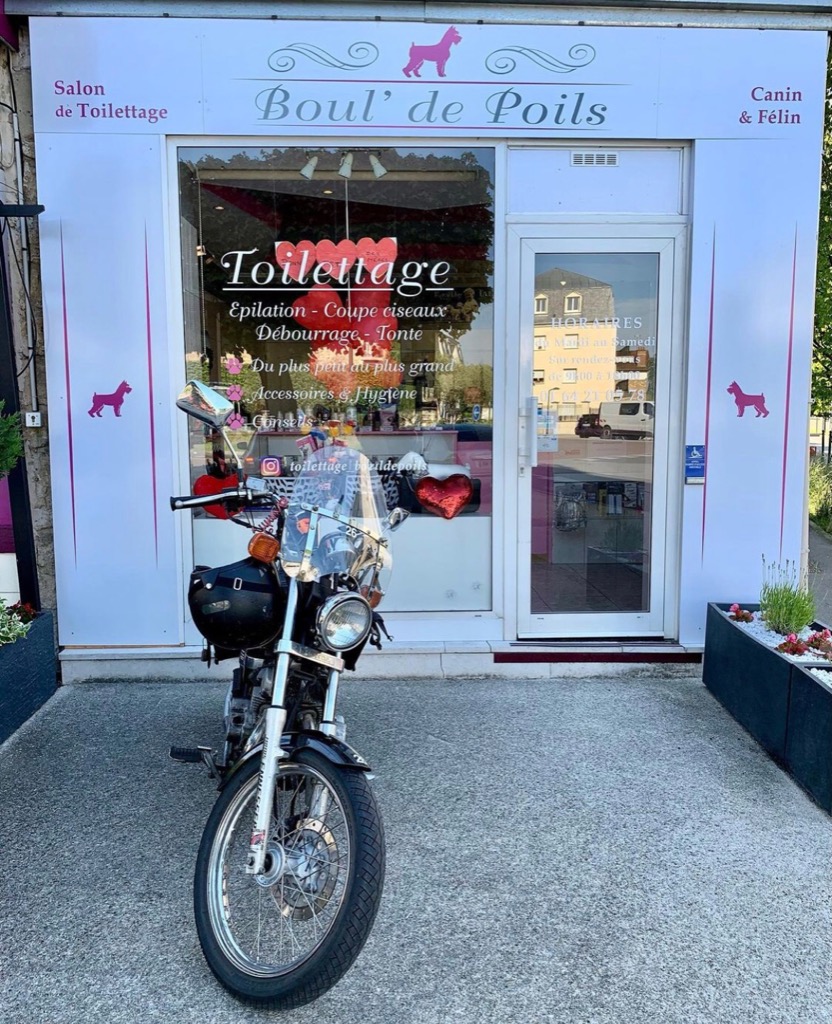 photo cabinet Boul' de Poils