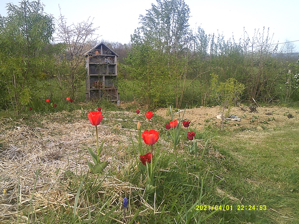 photo activite Audrey Bouvet-maréchal 