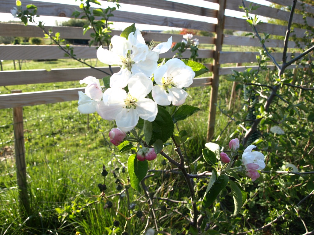photo cabinet Audrey Bouvet-maréchal 