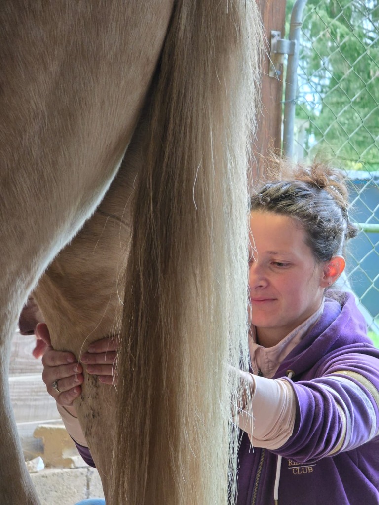 photo seance Béatrice Besson - Merveille Tao