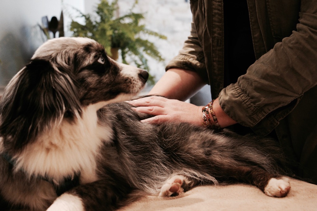 photo activite Mary Picart