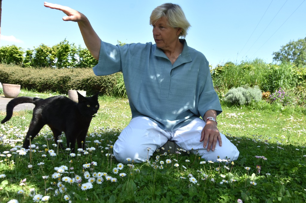 photo activite Sylvie Leflon