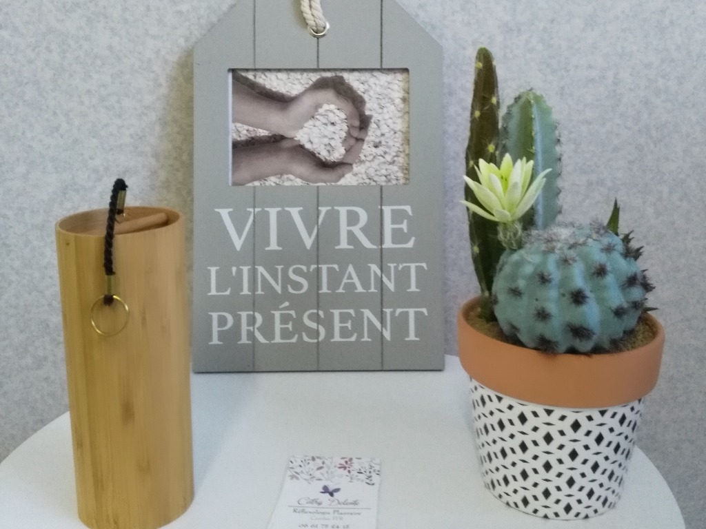 photo cabinet Cathy Delente