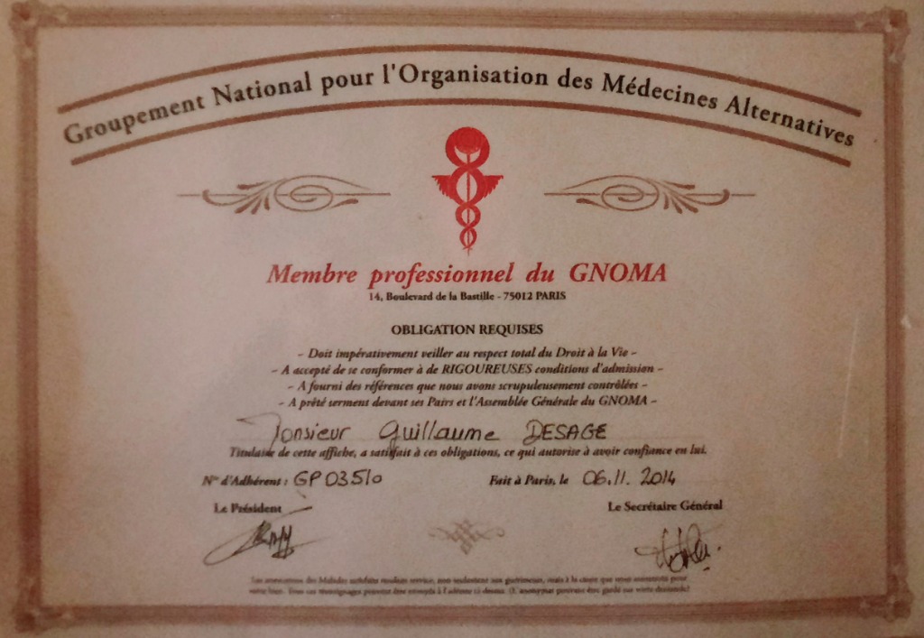 photo diplome Guillaume DESAGE