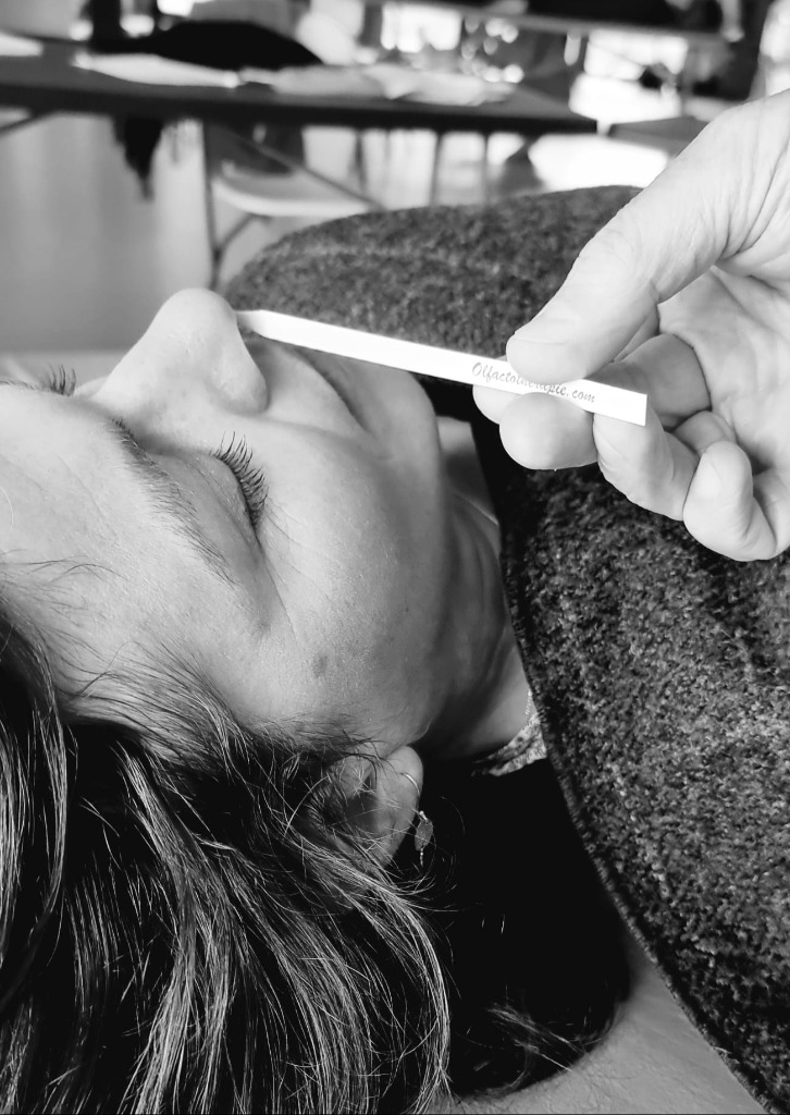 photo activite Frédéric FERRER