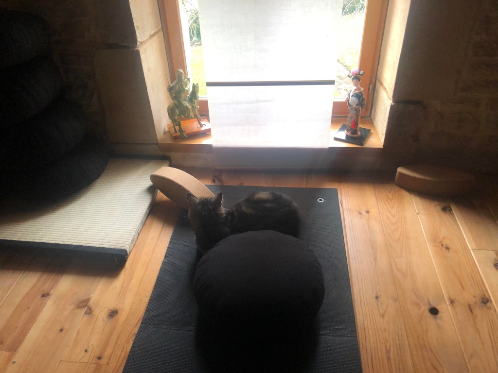 photo cabinet Francoise TIssier - Dojo Tangram