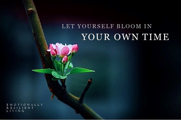 photo cabinet Mariane Ronnet