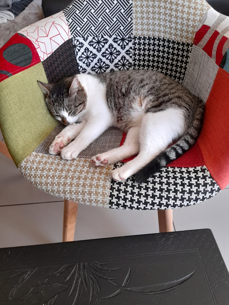 photo portrait Helene SERVANT 