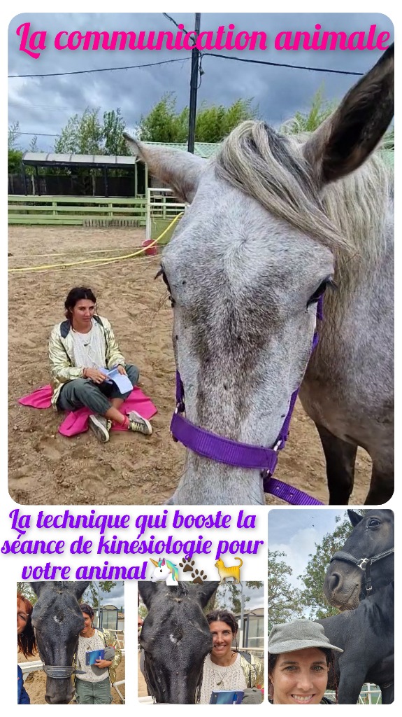 photo activite Marion ramade arnoux