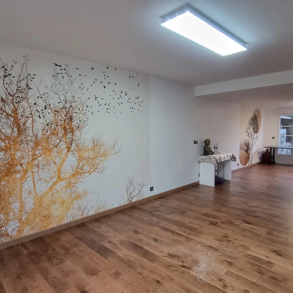 photo cabinet Marie-pierre Renon