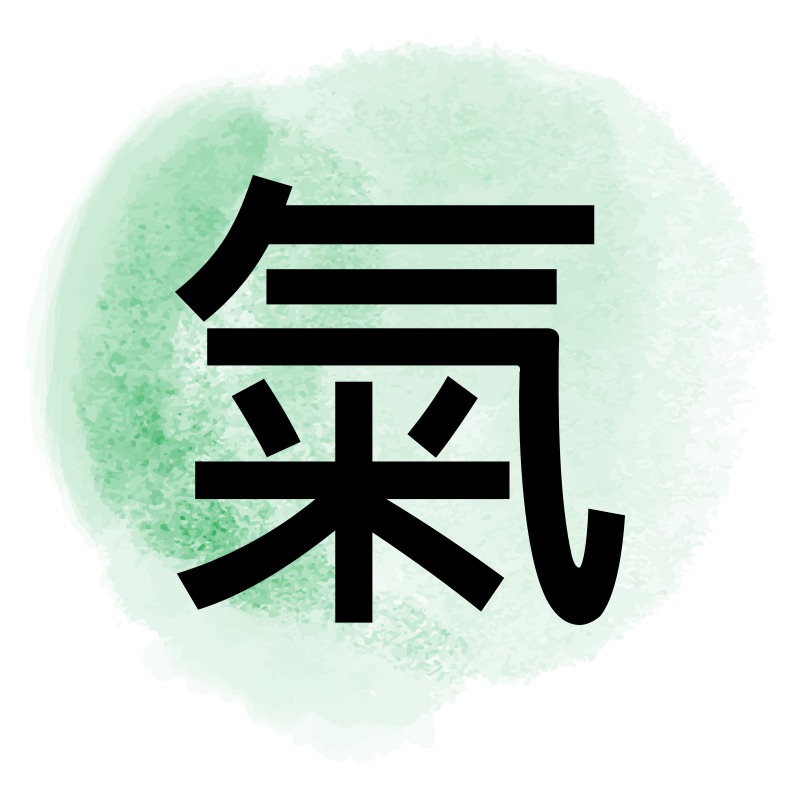 photo activite Delphine MIVIELLE 