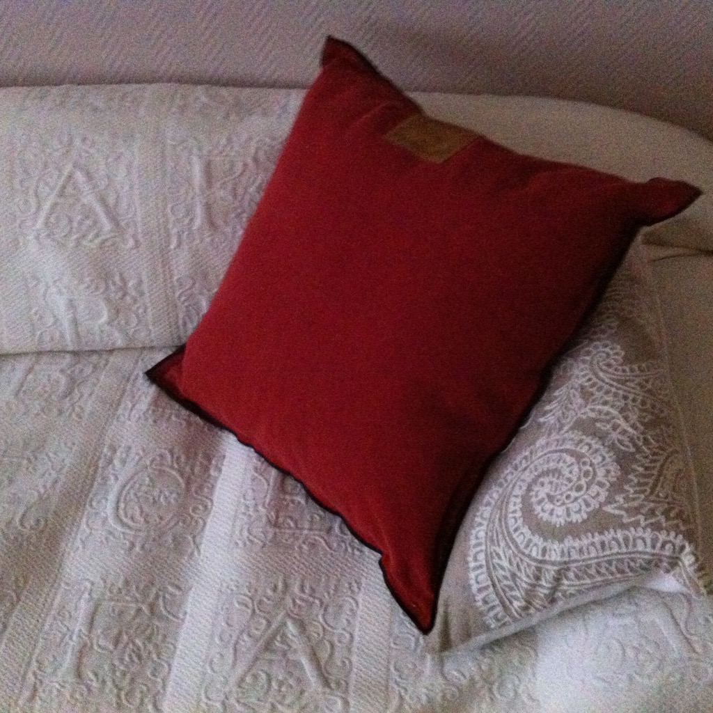 photo portrait Thérèse BOYREAU -DEBRAY 